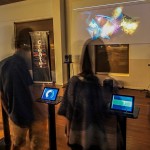 Northern Lights teaser installation 1 at Mullum Flickerfest 2018 (2)